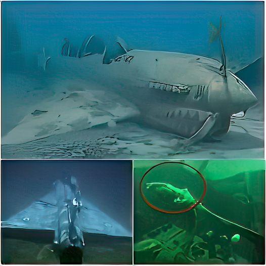 Mysterious Giant Plane Found Intact Deep in the Bermuda Triangle—What’s Inside Is Truly Terrifying!